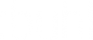 buhl Unternehmer Logo weiß 300x129